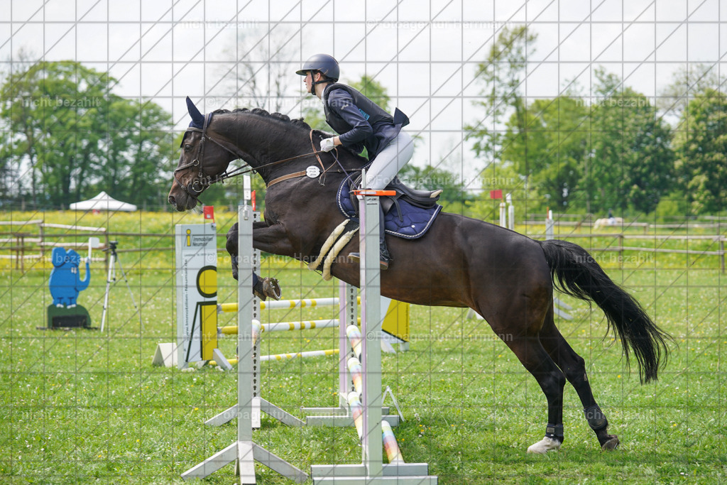 20240509-FAH02751 | Turnierbilder der Turnierfotografen Bayern, Pferdesport Fotografie, Reitsportbilder, Turnier Landberg am Lech, Turnierbilder bayern, Fotoagentur Herrmann