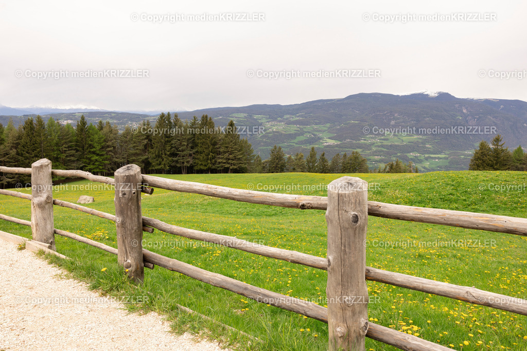 Tuff Alm | medienkrizzler - Realisiert mit Pictrs.com