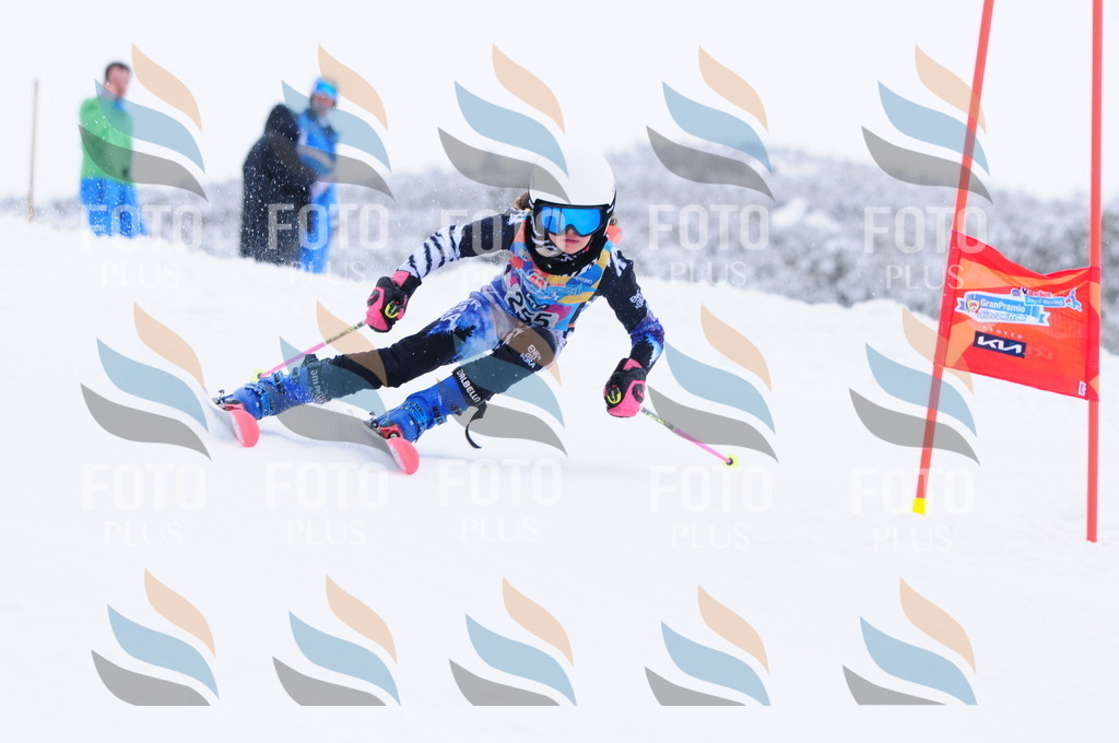 C2686 | holidayphoto