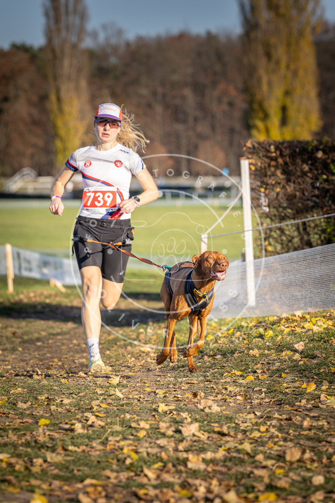 CaniXpix_DV3A2204 | Hundefotografie, Tierfotograf, Pfotenfotografie, Fotoshooting Hund, Hunde Portrait, Hundesport, Hundeportraits, Heideshooting, Hunde, Sportfotograf, Hundefotograf, Turnierhundsport, THS,  - Realisiert mit Pictrs.com