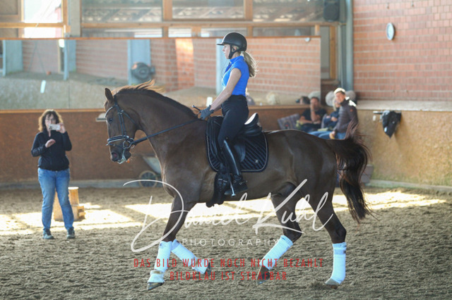 DKP42258 | Turniersportfotografie; Pferdefotografie; Dressurfotografie