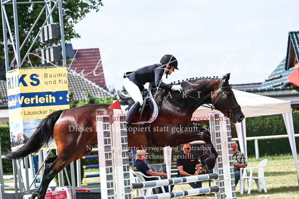 DSC_8893 | Pferde- und Turnierfotografie in Westsachsen. Pferdeportraits, Auftragszeichnungen und intuitive Kunst.