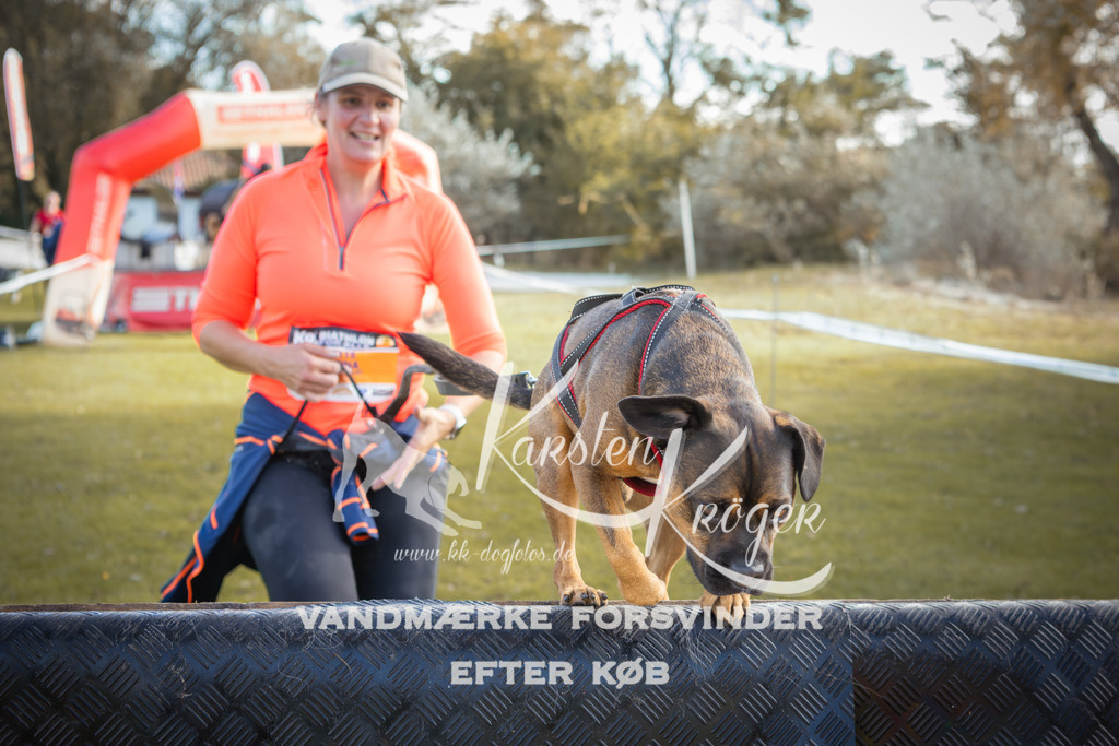 1311_ZZ99446-2 | kk-dogfotos