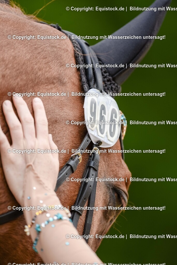 20250608_CVI-Masterclass_0546 | Foto: Thomas Hartig