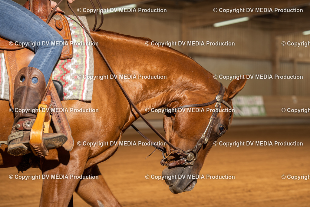 NID01740 | dv-media-shop - Realisiert mit Pictrs.com