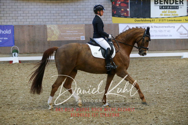 IMG_3003 | Turnierfotos kaufen im Webshop von Daniel Kuhl Photography – entdecke professionelle Reitsportfotos aus Turnieren & Events. Hochwertige Turnierbilder online bestellen & sichern. Jetzt Fotos von Reitsportturnieren kaufen!