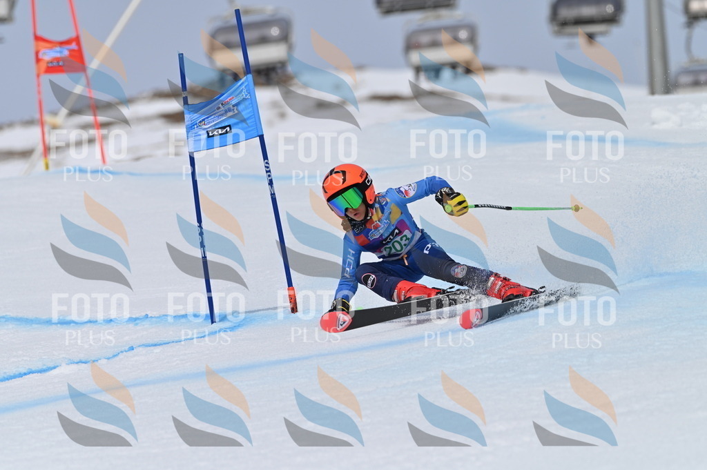 BGV_3916 | holidayphoto