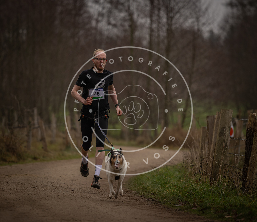 Pfotenfotografie_DV3A2746 | Hundefotografie, Tierfotograf, Pfotenfotografie, Fotoshooting Hund, Hunde Portrait, Hundesport, Hundeportraits, Heideshooting, Hunde, Sportfotograf, Hundefotograf, Turnierhundsport, THS,  - Realisiert mit Pictrs.com