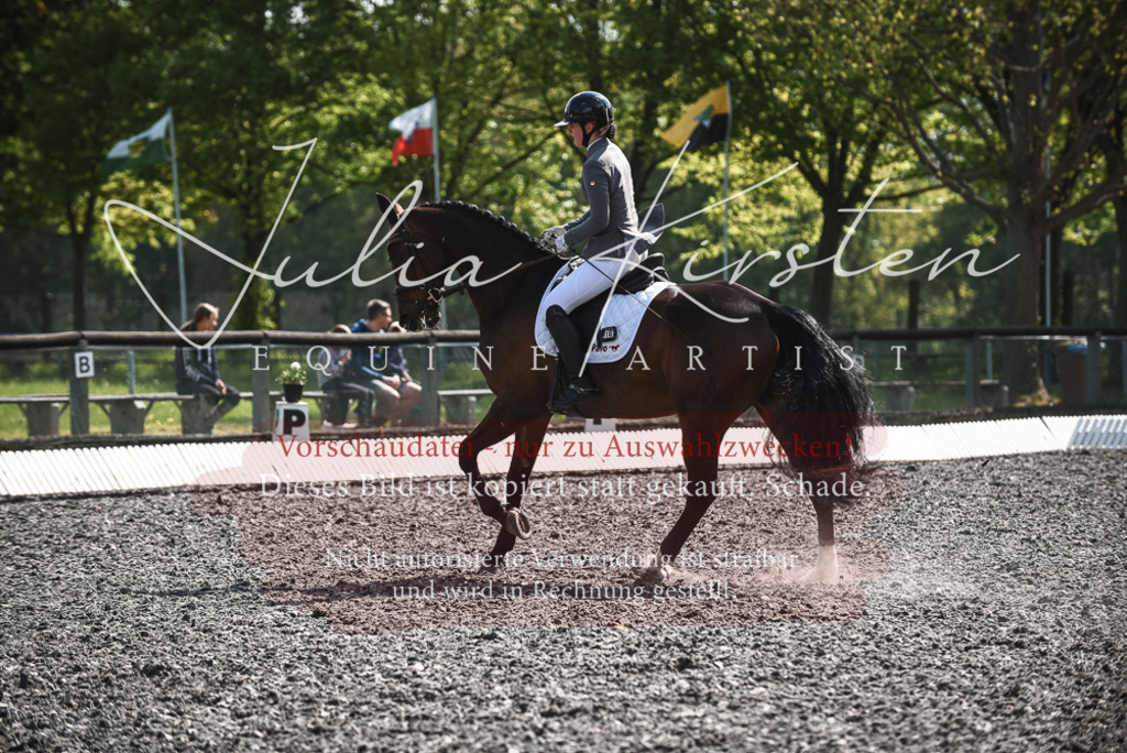 DSC_8959 | Pferde- und Turnierfotografie in Westsachsen. Pferdeportraits, Auftragszeichnungen und intuitive Kunst.