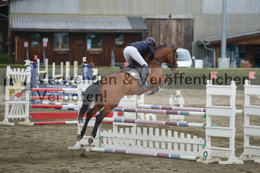 DSC01342 | equestrian-live-com