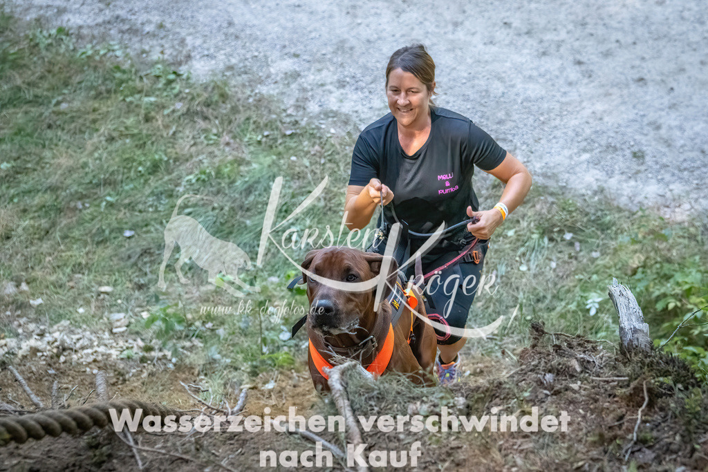 1156_ZZ92629 | kk-dogfotos