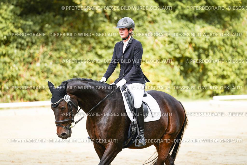 DSC01617 | Pferdegrafie