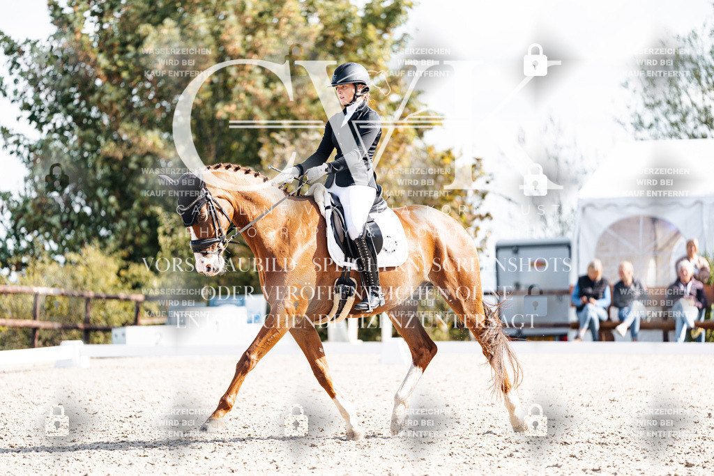 CK902197 | Turnierfotografie Pferdefotografie Trier Rheinland-Pfalz Pferdesport Reitsport Tierfotografie Sportfotografie Pferdevideo Pferdevideografie Equestrianvideography equestrianphotography  - Realisiert mit Pictrs.com