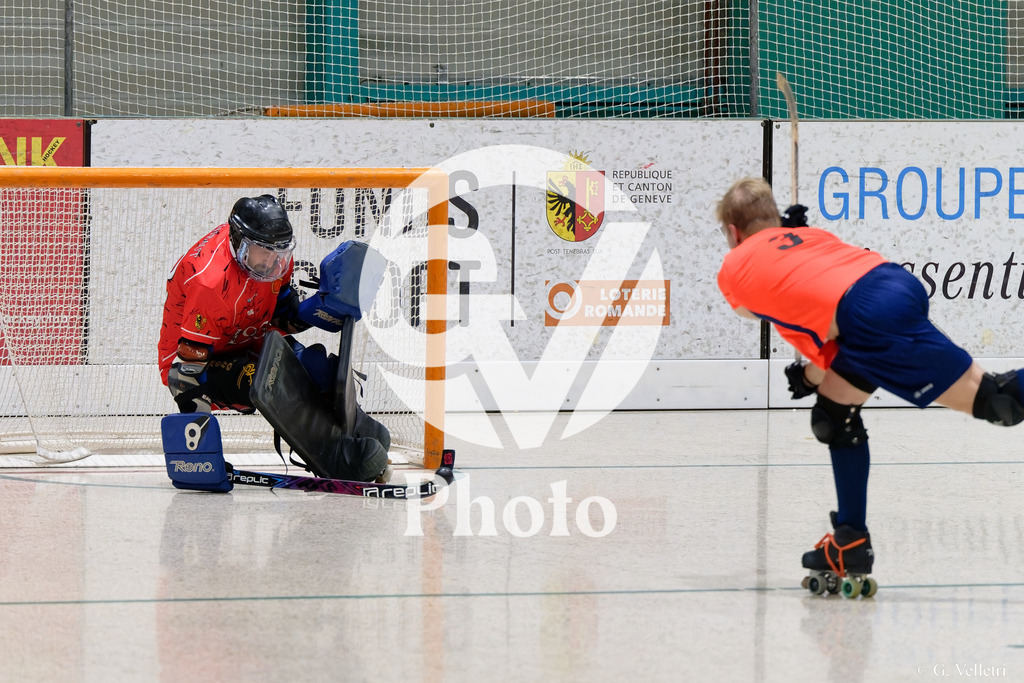 DSC_3066 | Velletri Photo