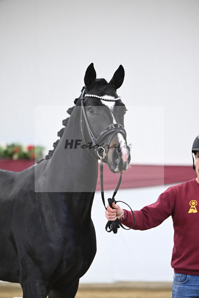 Kat-Nr. 18 Escaneno x Fuerstenball_Stefan Holtwiesche_47250479 | hf-fotografie - Realisiert mit Pictrs.com