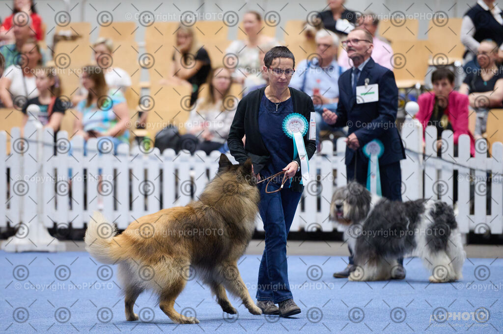 202406_ÖKV-IHA-Tulln24_DSC_2846 | proPHOTO - Realisiert mit Pictrs.com