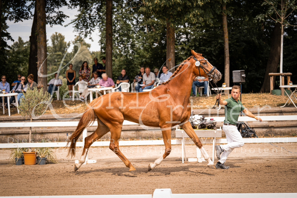 4.Fr00151 | Leoni Ertmer Photography - Realisiert mit Pictrs.com