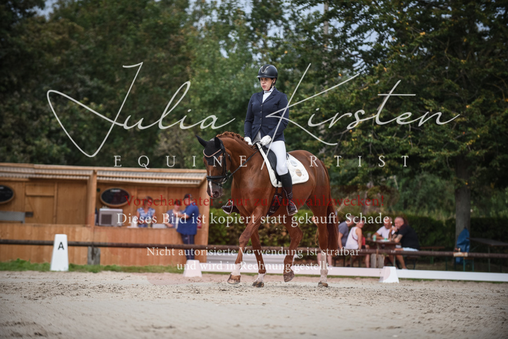 DSC_8357 | Pferde- und Turnierfotografie in Westsachsen. Pferdeportraits, Auftragszeichnungen und intuitive Kunst.