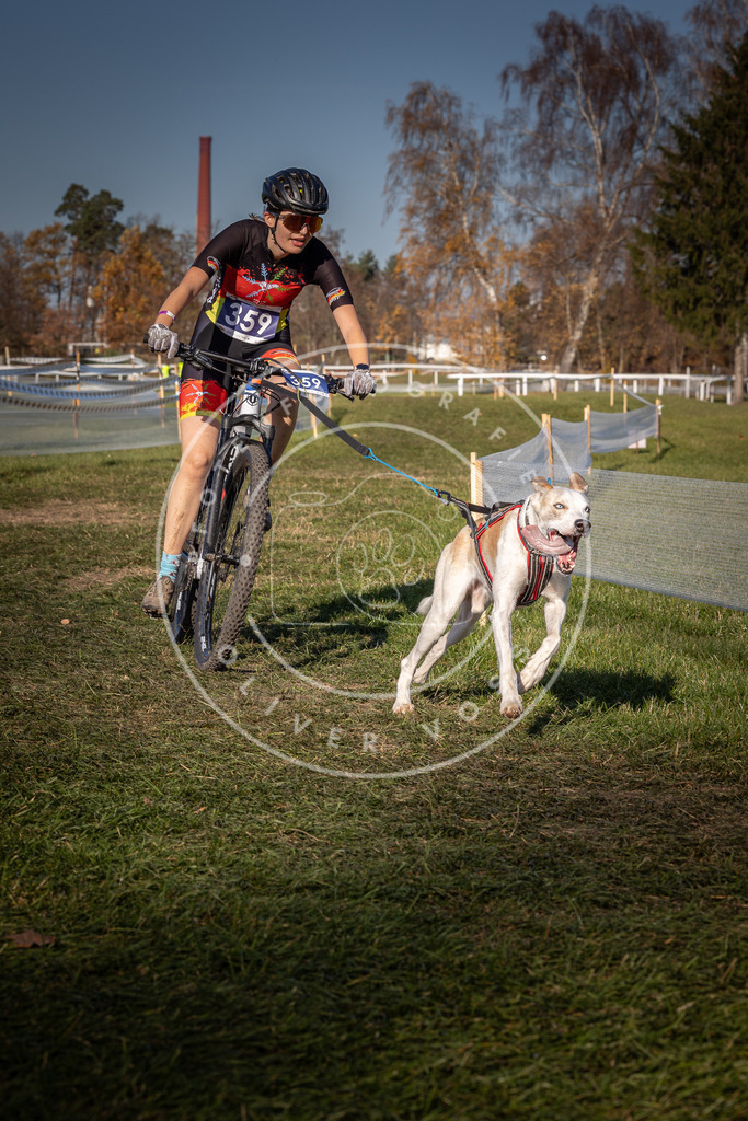 CaniXpix_0L8A6202 | Hundefotografie, Tierfotograf, Pfotenfotografie, Fotoshooting Hund, Hunde Portrait, Hundesport, Hundeportraits, Heideshooting, Hunde, Sportfotograf, Hundefotograf, Turnierhundsport, THS,  - Realisiert mit Pictrs.com
