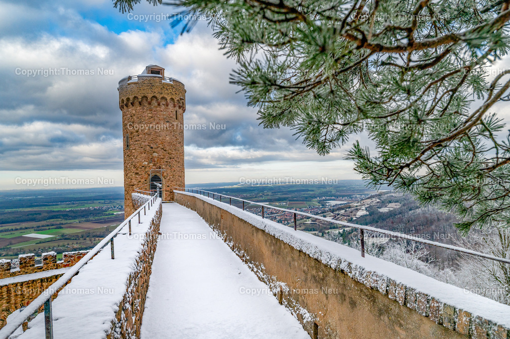 Winter-Schloss-Auerbach-Thomas_Neu_Fotografie-17 | Winterzauber auf Schloss Auerbach: Die historische Burgruine hoch über der Bergstraße zeigt sich im Schnee von ihrer beeindruckendsten Seite. Der Blick über die Rheinebene, der mächtige Wehrturm und die markante Schwarzkiefer machen das Schloss zu einem der schönsten Wintermotive im Odenwald. Entdecken Sie die faszinierende Kombination aus Geschichte, Natur und einzigartiger Winteratmosphäre., Bild: Thomas Neu