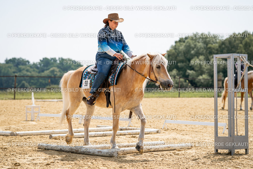 DSC00023 | Pferdegrafie