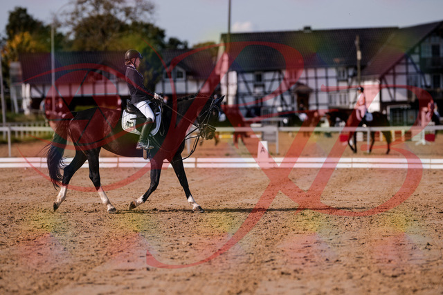 2026_10_03_Siefer-Hof_121536_Z81_17273868 | Professionelle Reitsport-, Turnier- und Eventfotografie von Robert Broda. Galerien mit ausgewählten und bearbeiteten Bildern direkt online ansehen und bestellen.