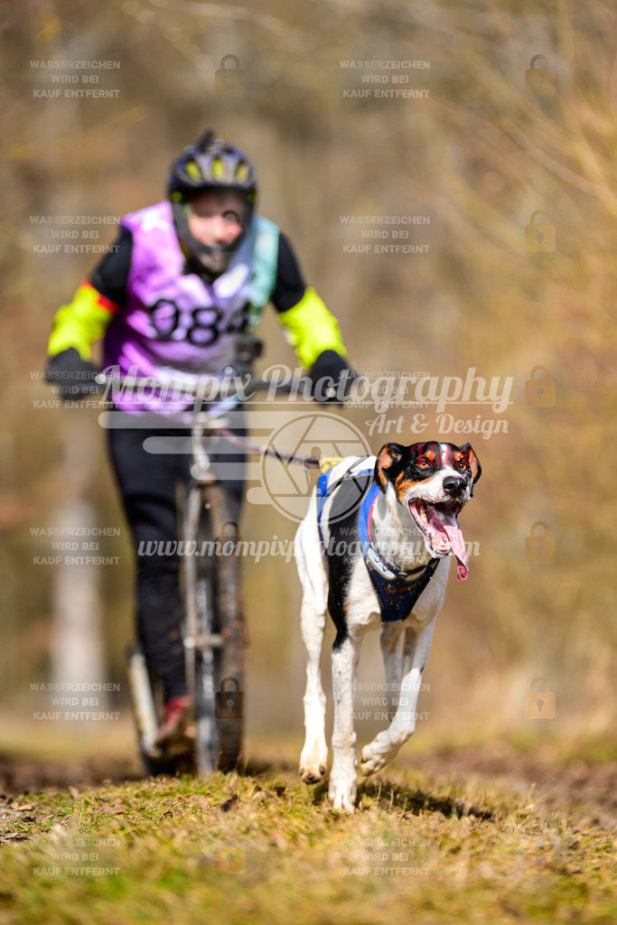 MompixPhotography_Schwabentrail2025_SO_DS1-69 | PayLife