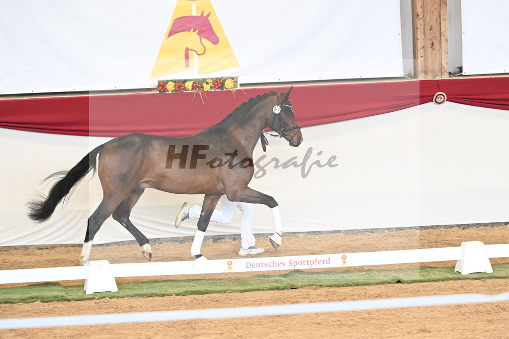 Kat.-Nr. 77 v. Taurus_Casper und Eulich_3261039 | hf-fotografie - Realizzato con Pictrs.com