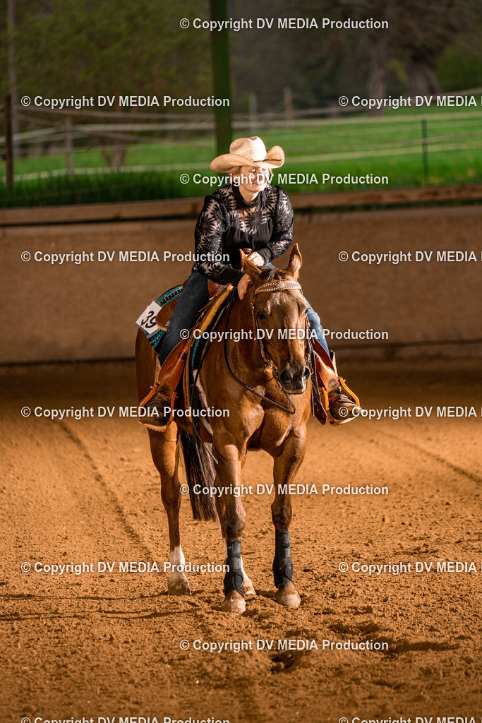 BAL01047 | dv-media-shop - Realisiert mit Pictrs.com