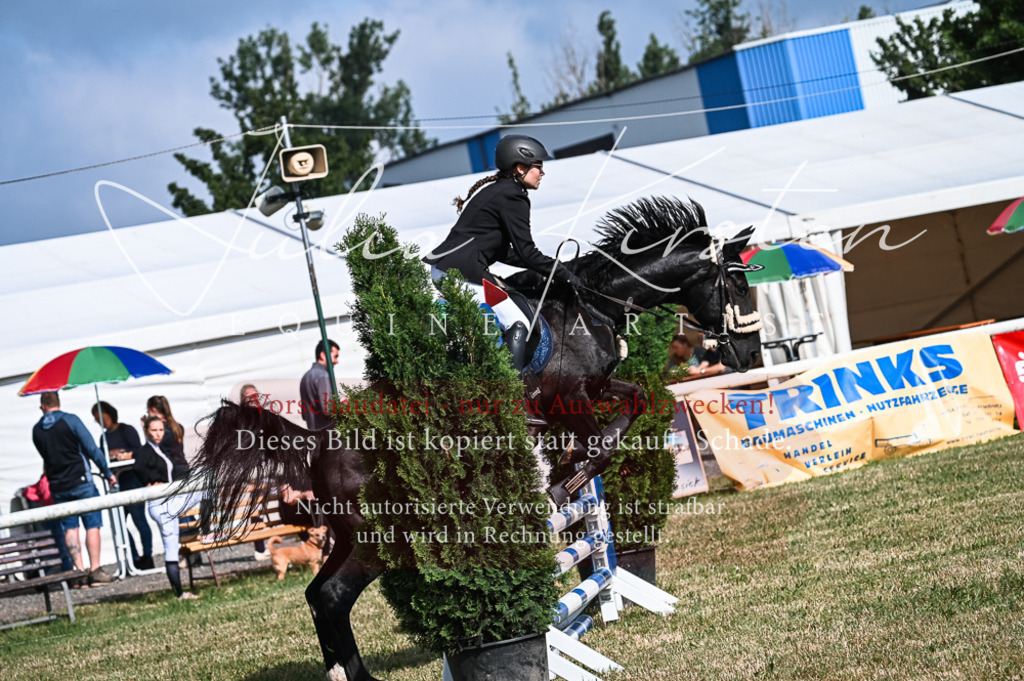 DSC_7874 | Pferde- und Turnierfotografie in Westsachsen. Pferdeportraits, Auftragszeichnungen und intuitive Kunst.
