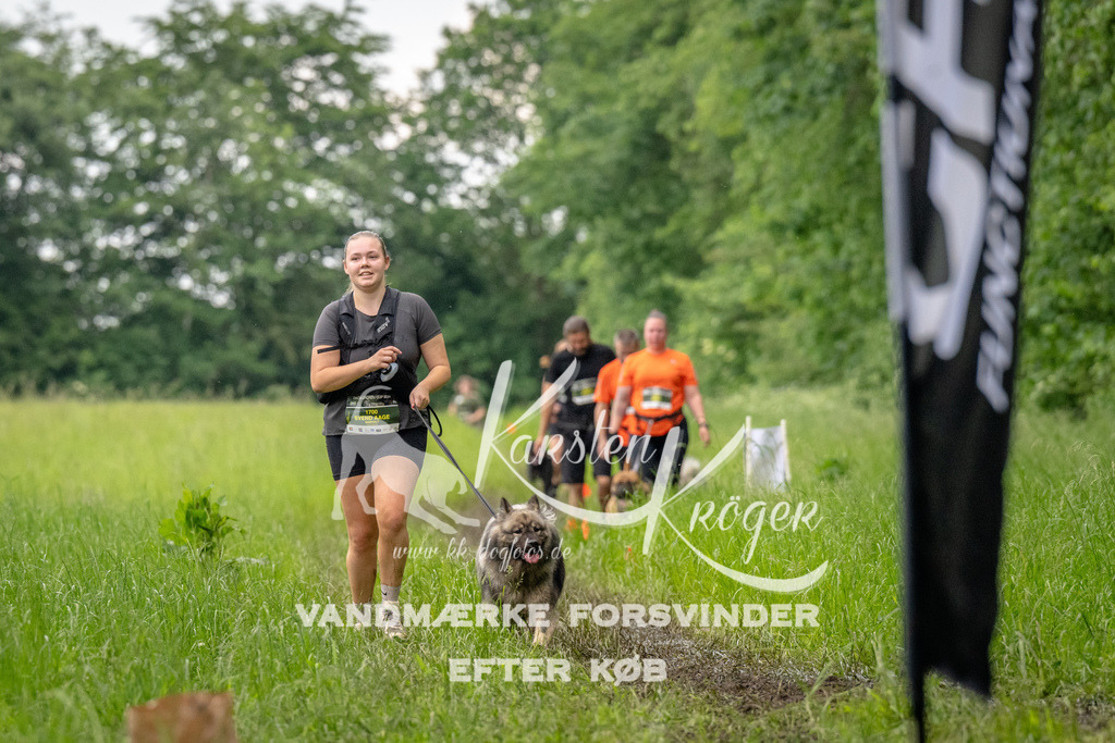 1601_ZZ91801 | kk-dogfotos