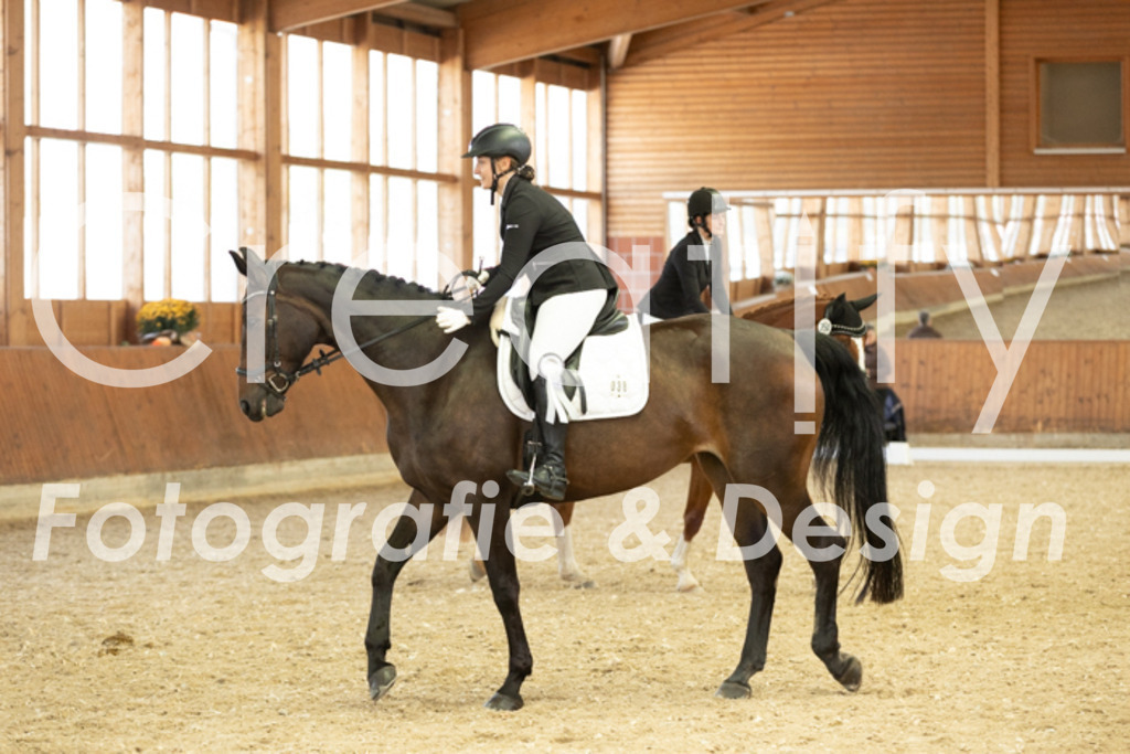 IMG_6350 | Creatify Fotografie