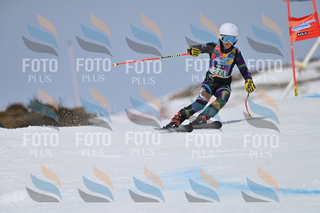 BGV_5424 | holidayphoto