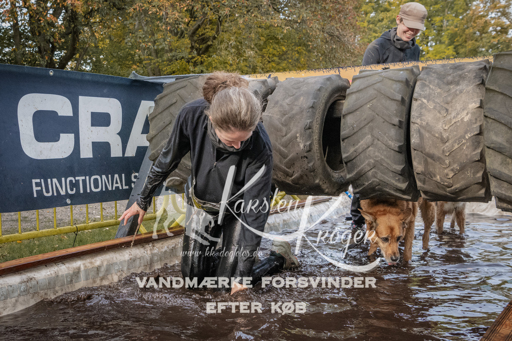 1440_ZZ94771 | kk-dogfotos