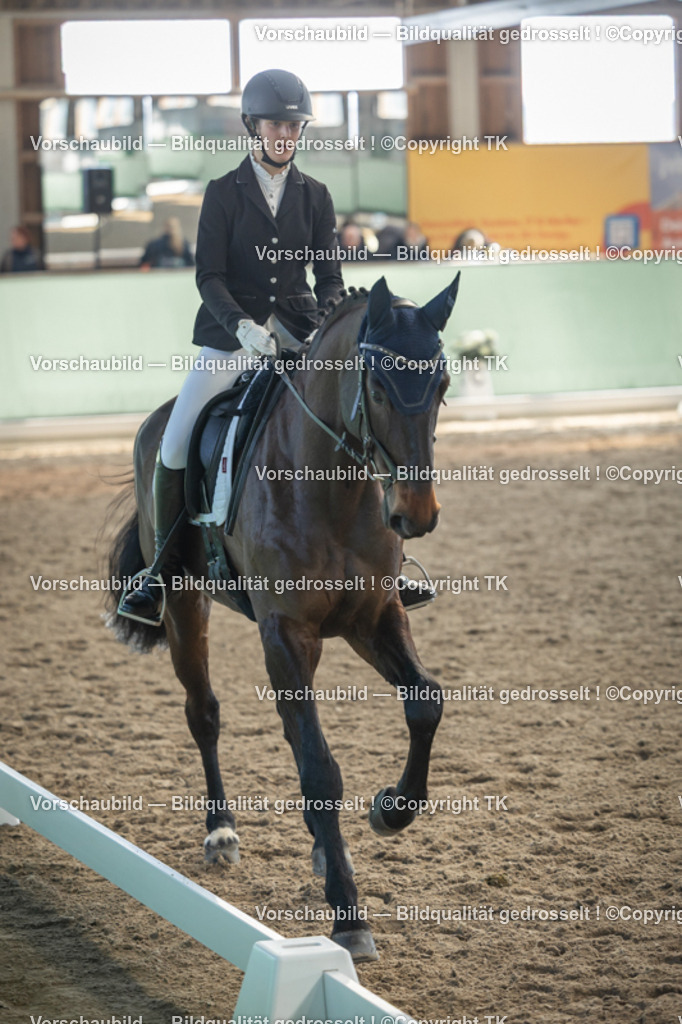 _D5A8378 | Emotionale Pferde- & People-Fotografie rund um Heidelberg, Leimen & Umgebung. Natürliche Fotos von Pferd, Mensch & Familie. Jetzt Termin sichern!