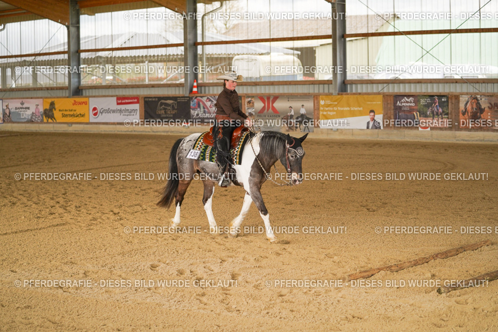 DSC04751 | Pferdegrafie