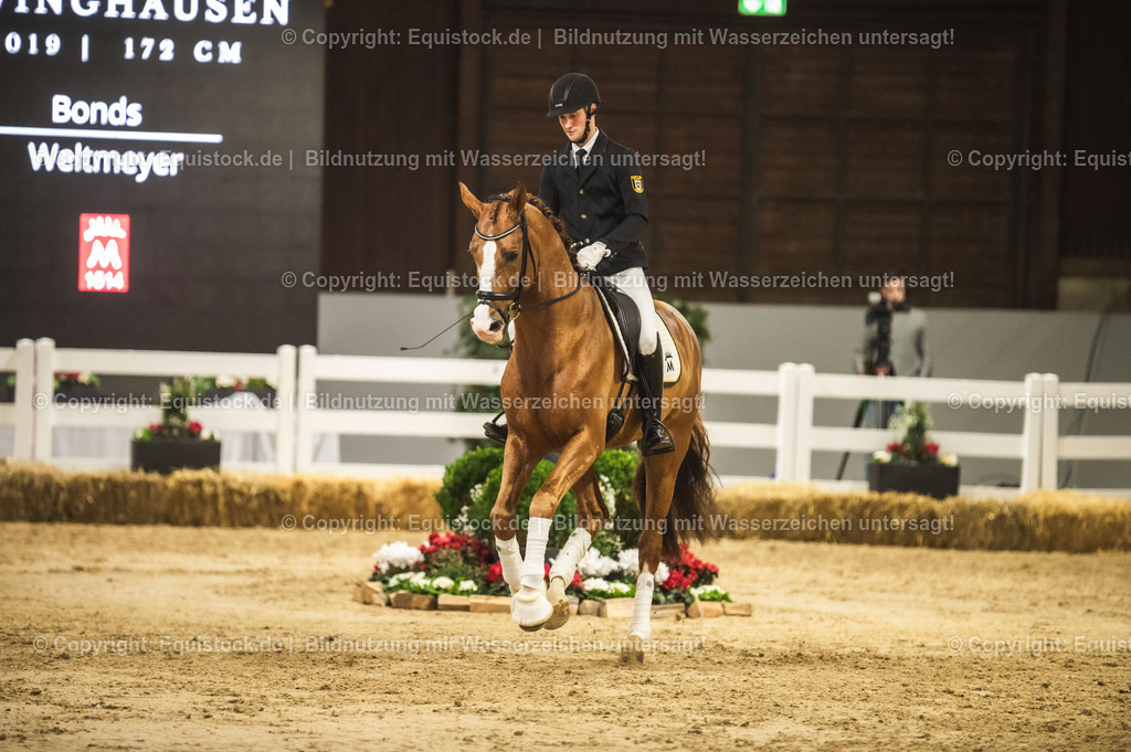 20240302_Hengstvorstellung_Marbach_TOMsPiC_0544-2 | equistock