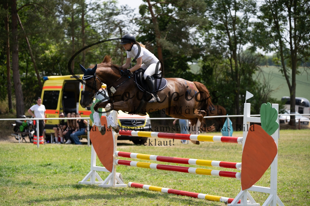 A7V07264 | Pferdefotograf