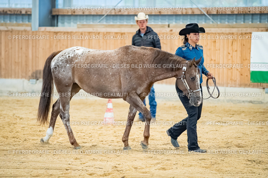 DSC09764 | Pferdegrafie