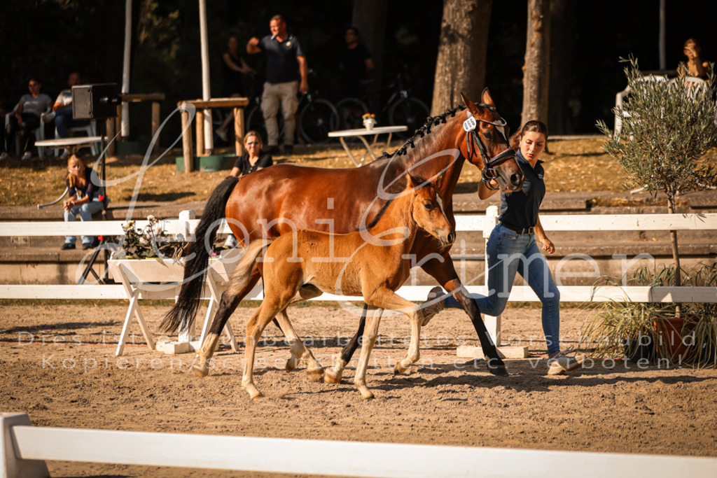 11.DoRP00163 | Leoni Ertmer Photography - Realisiert mit Pictrs.com