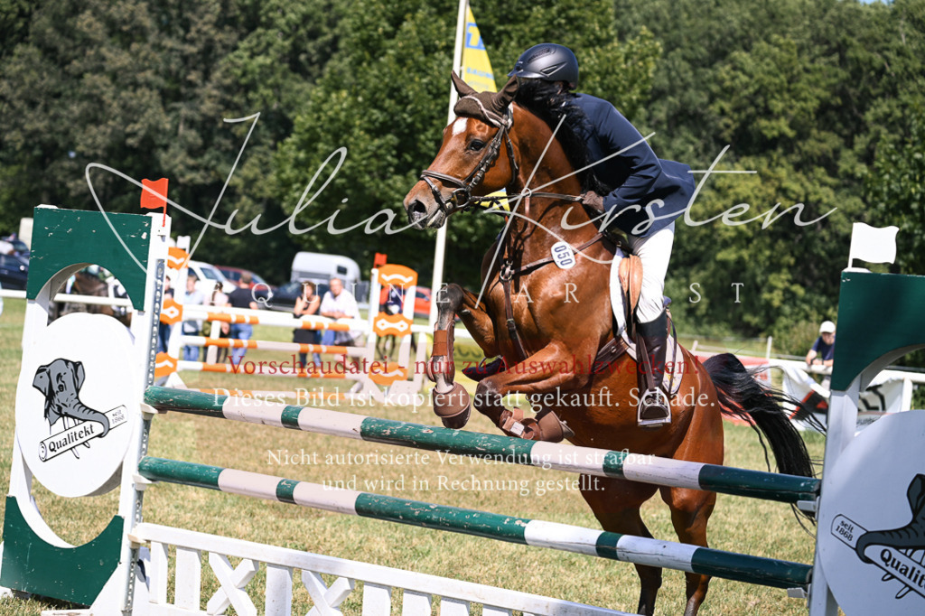 DSC_0438 | Pferde- und Turnierfotografie in Westsachsen. Pferdeportraits, Auftragszeichnungen und intuitive Kunst.