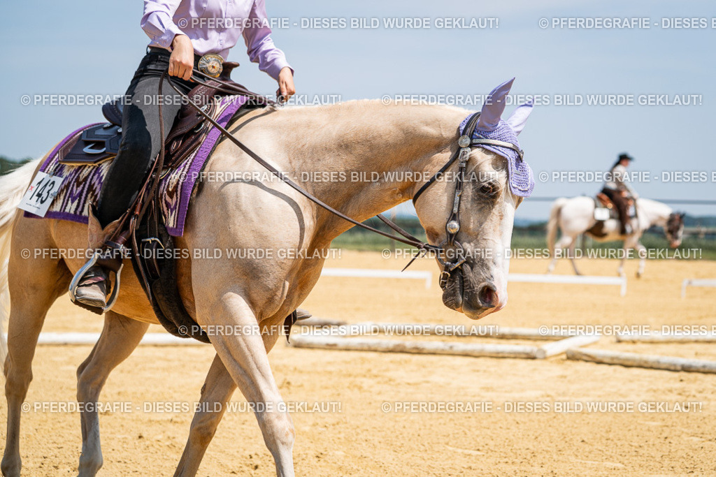 DSC01124 | Pferdegrafie