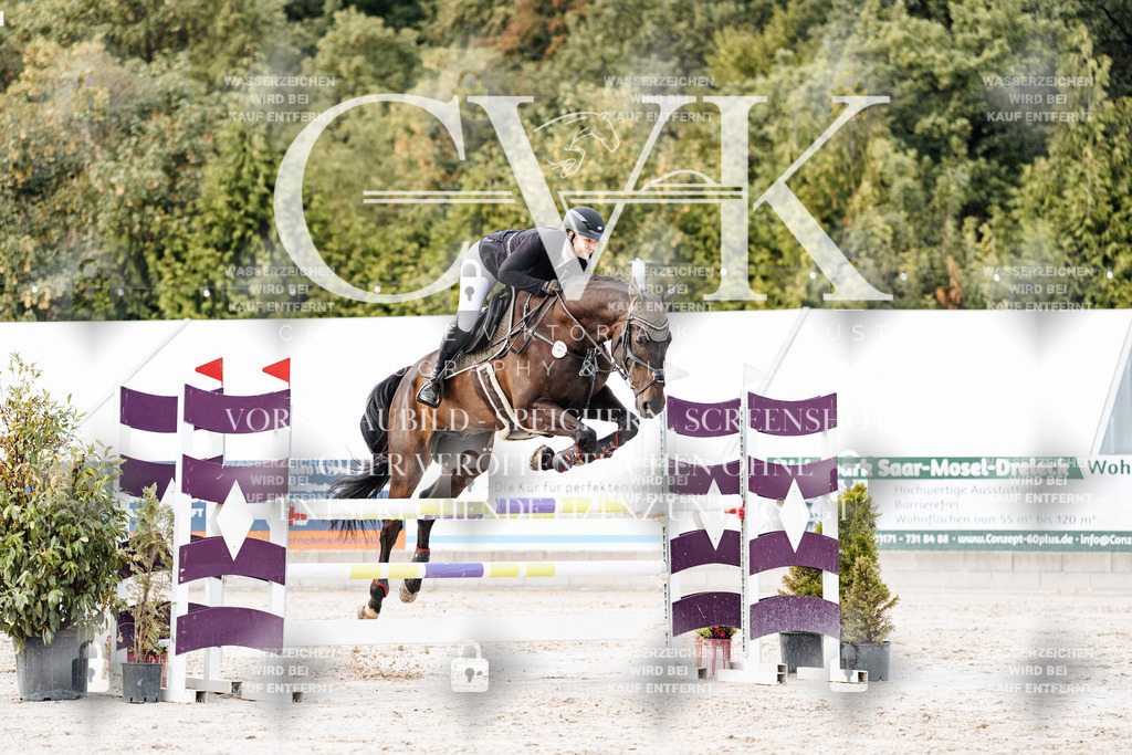 CK903786 | Turnierfotografie Pferdefotografie Trier Rheinland-Pfalz Pferdesport Reitsport Tierfotografie Sportfotografie Pferdevideo Pferdevideografie Equestrianvideography equestrianphotography  - Realisiert mit Pictrs.com