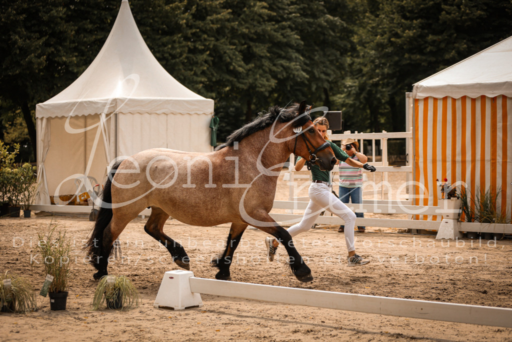 4.Sa00042 | Leoni Ertmer Photography - Realisiert mit Pictrs.com