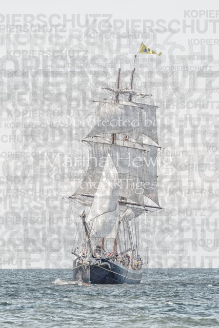 Hansesail 24-6061Marina Hewig_MarinaHewig | Fotografie, FotoArt, PferdesportArt, Pferdesportfotografie, Landschaftsfotografie, Reisefotografie, Reise, Pferde - Realisiert mit Pictrs.com