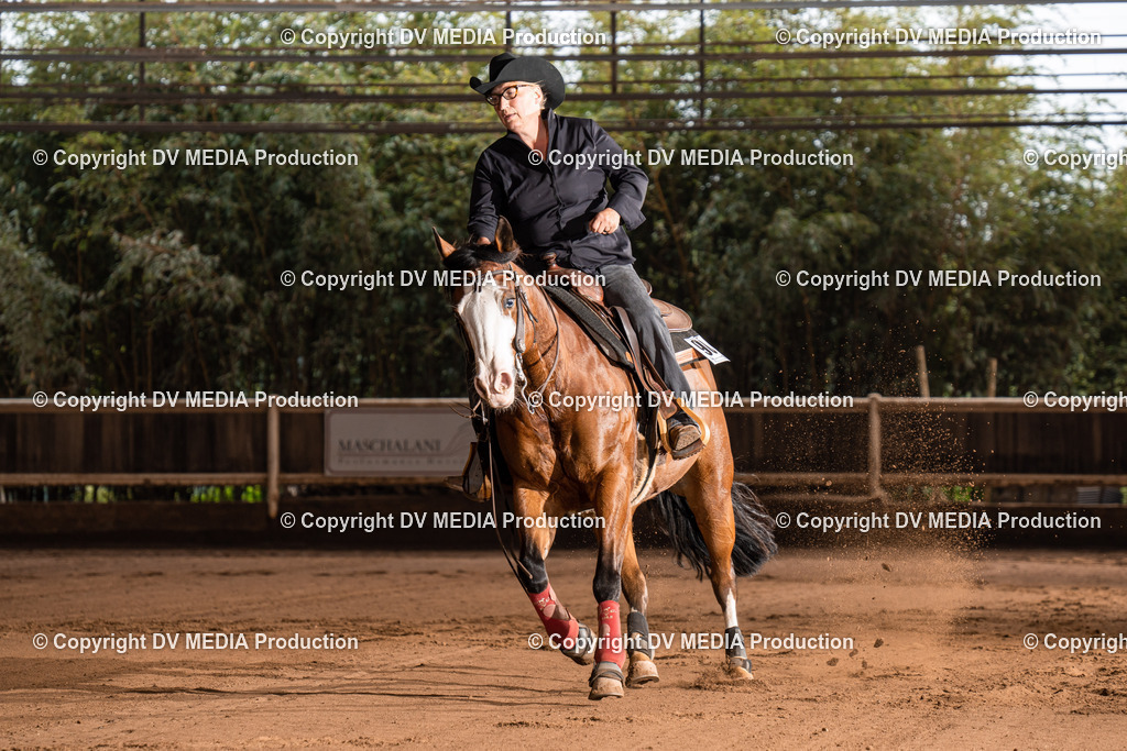 Erbach Tag 2-798 | dv-media-shop - Realisiert mit Pictrs.com