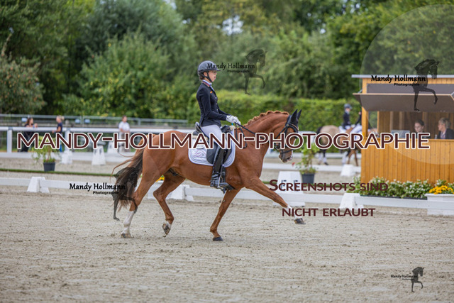 DRE L 6j (447 von 969) | mandyhollmannphotographie