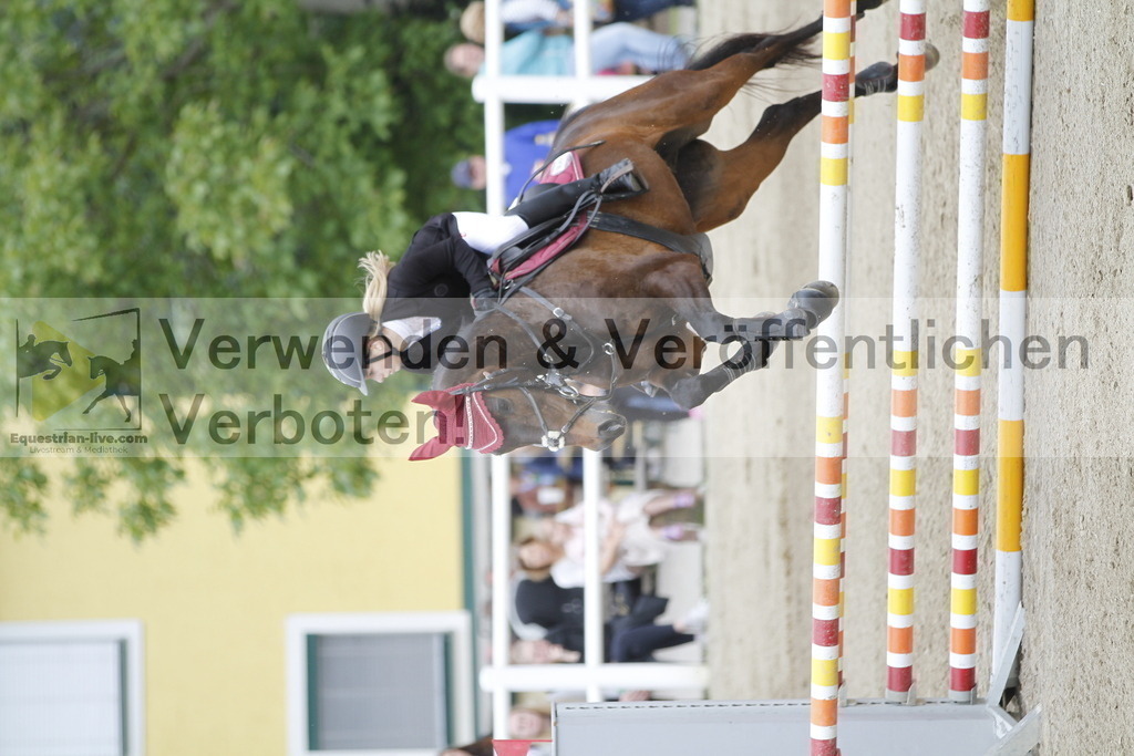 _MG_0982 | equestrian-live-com