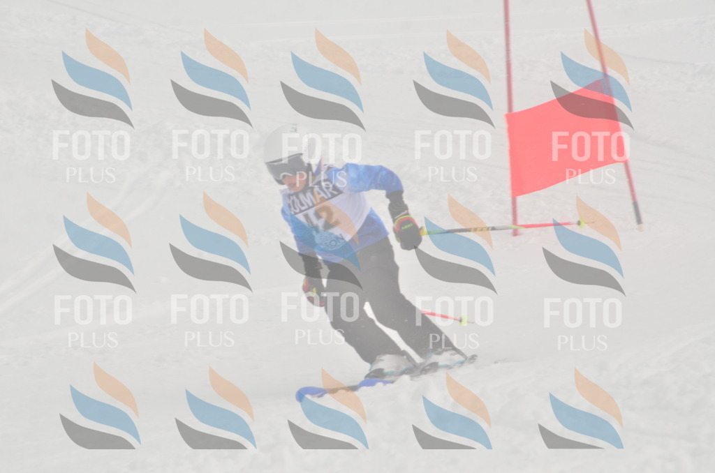 A5327 | holidayphoto