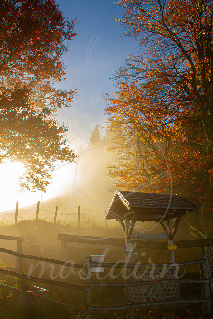 Der Mostbrunnen am Franzenreith | Bei Veröffentlichung des Bildes ist eine Namensnennung wie folgt erforderlich: 
Foto: Mostdirn Irmgard Wieser
 - Realisiert mit Pictrs.com